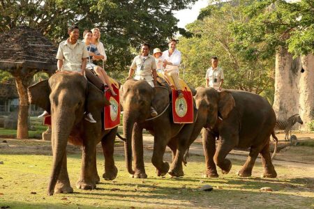 Experience the Exhilarating Bali Elephant Bath & Breakfast Day Tour